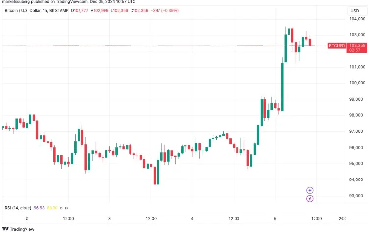 Bitcoin vừa đạt mức 104 000 đô la nhưng ai sở hữu nhiều Bitcoin nhất?