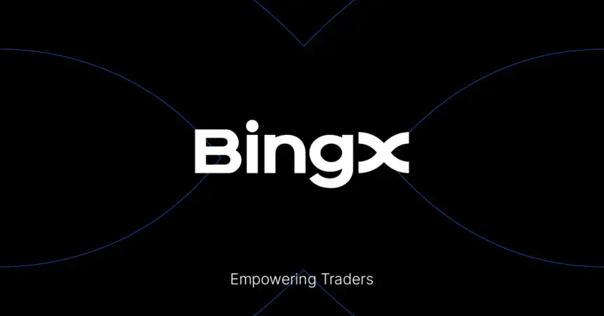 How to trade BingX without losing money