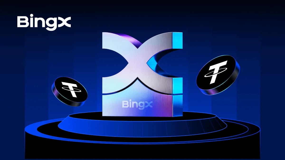 How to choose the best traders to copy on BingX