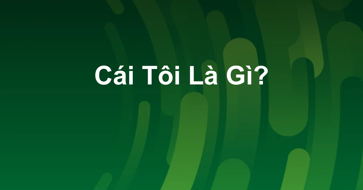 Cái Tôi Là Gì?