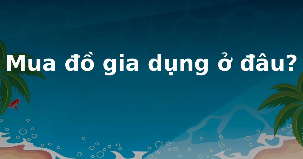 Mua đồ gia dụng ở đâu?