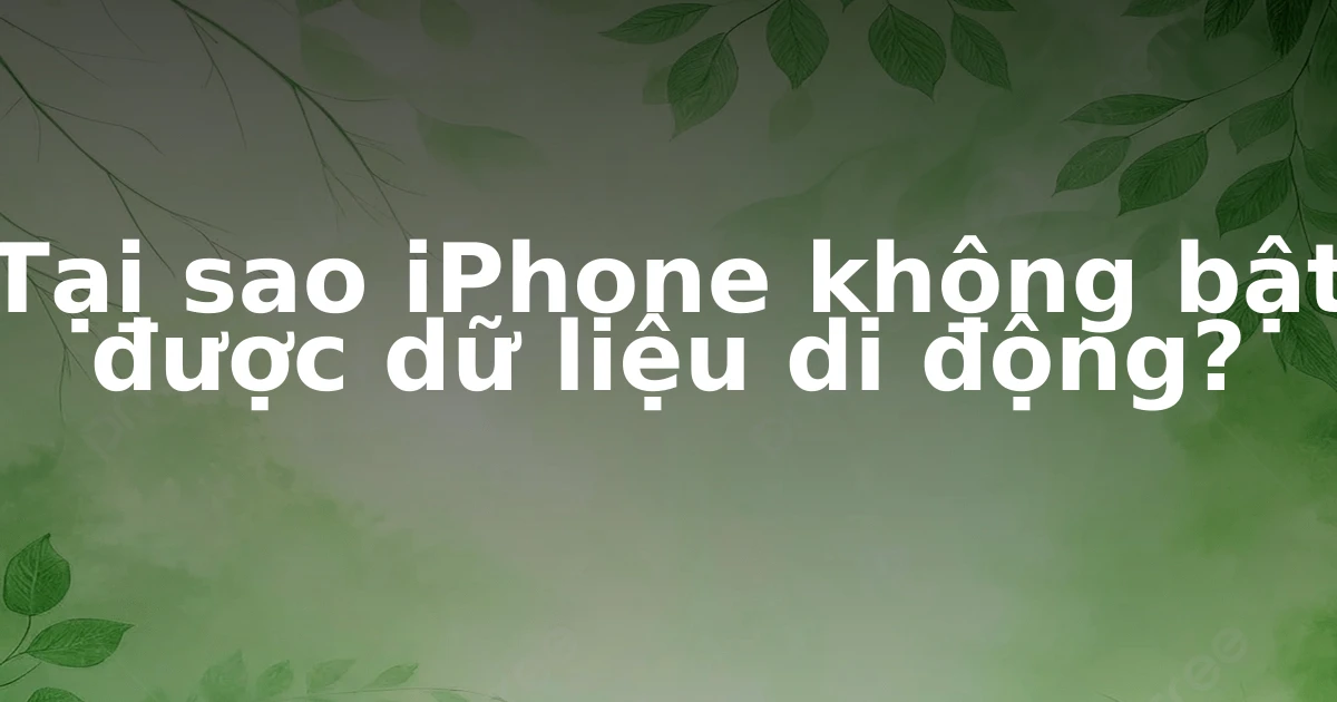 Tại sao iPhone không bật được dữ liệu di động?