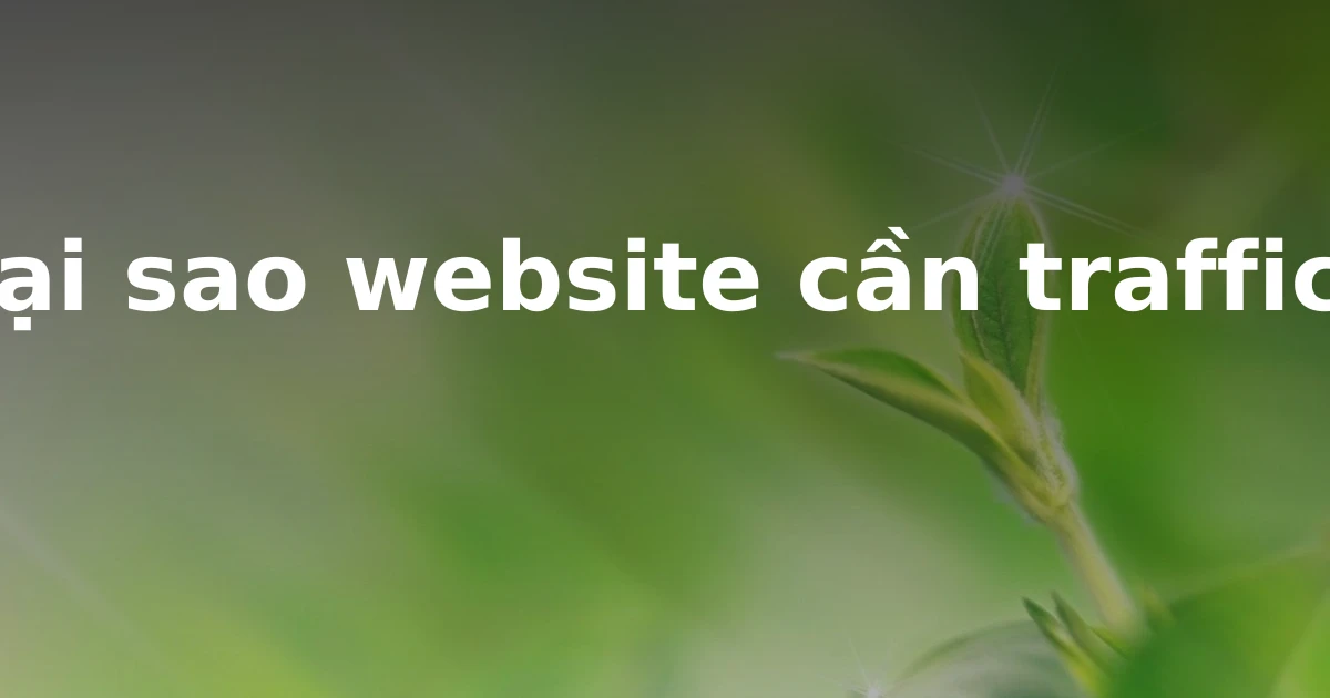Tại sao website cần traffic?