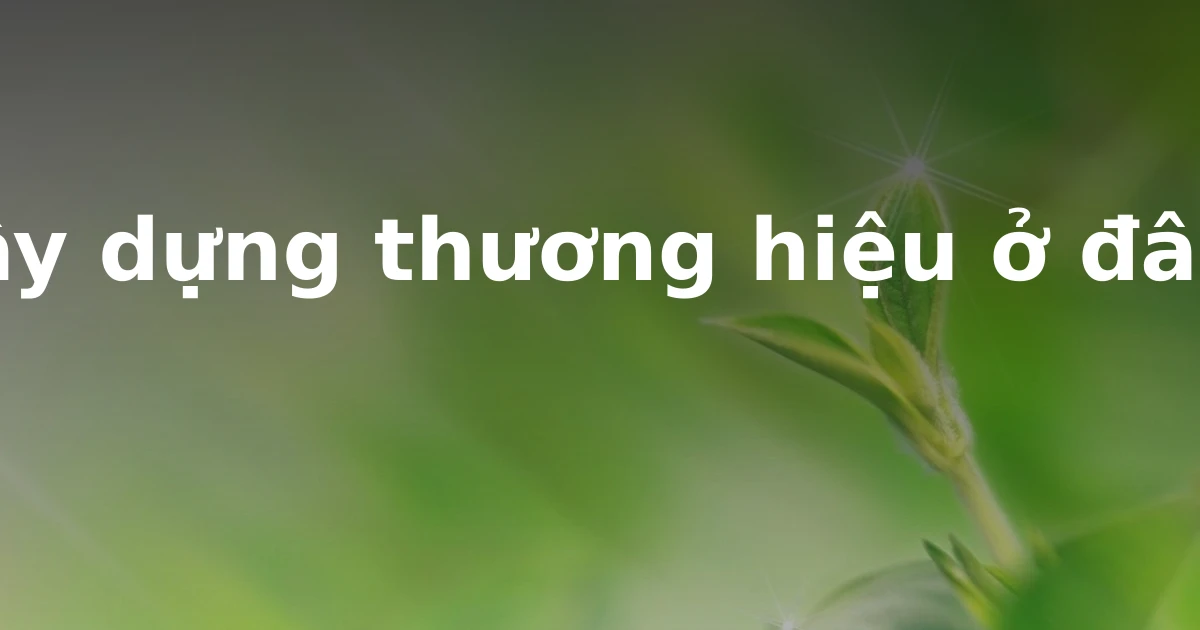 Xây dựng thương hiệu ở đâu?