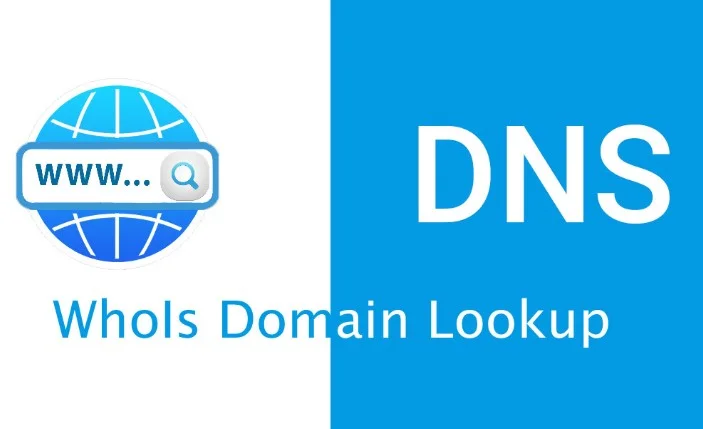 Check Domain
