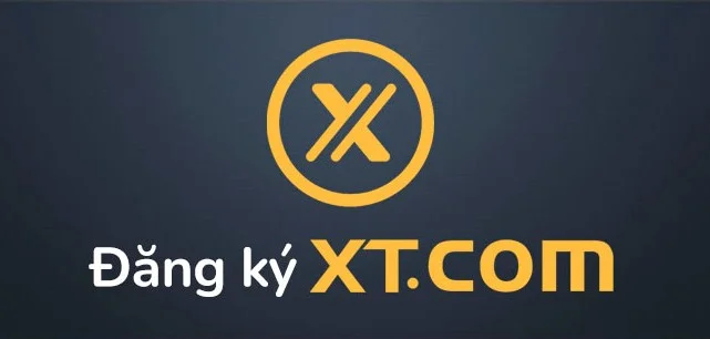 Sàn XT là gì?